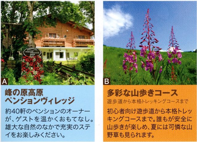 観光・周辺案内